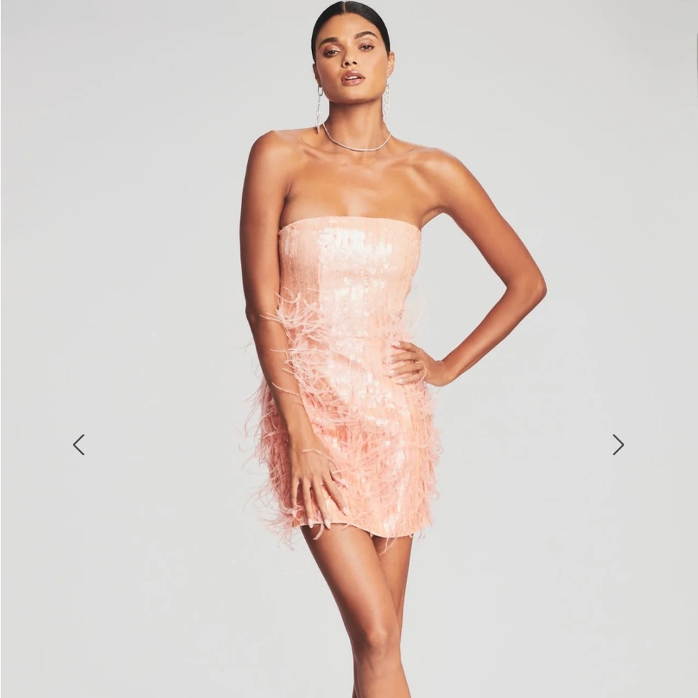Anastasia sequin feather dress in peach